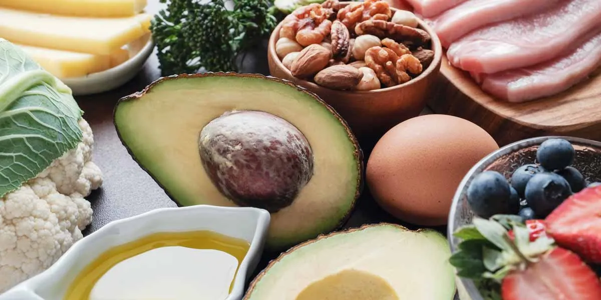 high protein diet macro